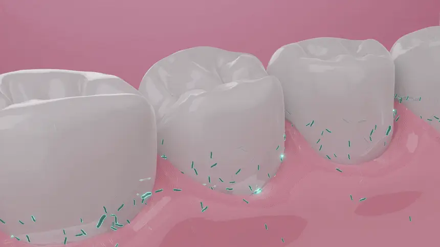 [특허성분 함유] 프로벨 메디테라 잇몸치약 (인체적용시험완료) 120g (1입/3입) 상세페이지 25